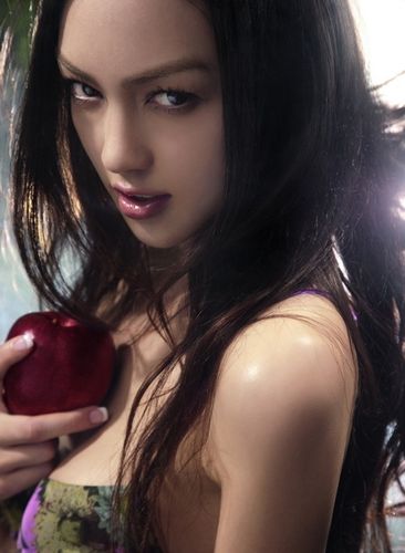 贝多芬小姐的启蒙2